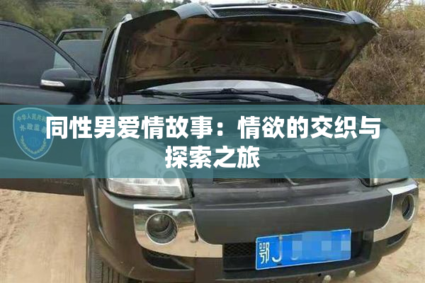 同性男爱情故事：情欲的交织与探索之旅