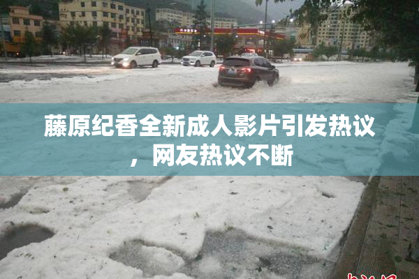 藤原纪香全新成人影片引发热议，网友热议不断