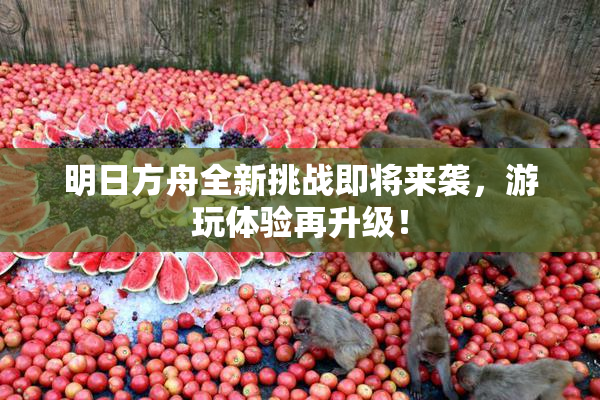 明日方舟全新挑战即将来袭，游玩体验再升级！