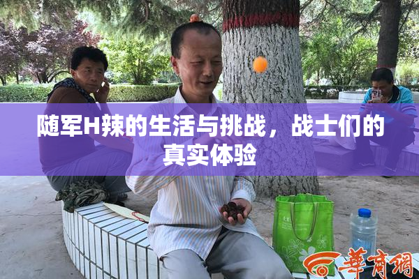 随军H辣的生活与挑战，战士们的真实体验