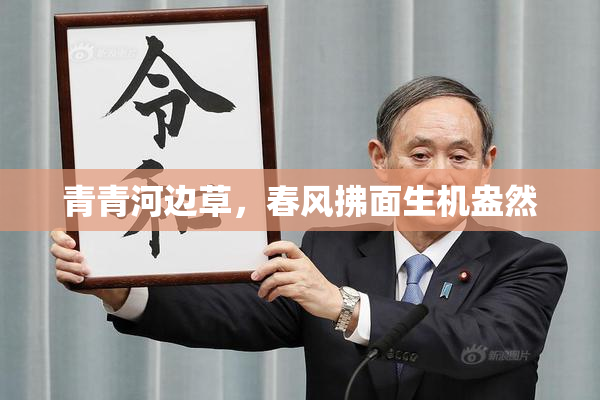 青青河边草，春风拂面生机盎然