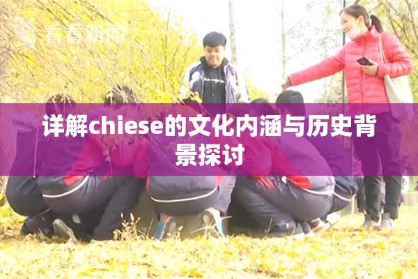 详解chiese的文化内涵与历史背景探讨