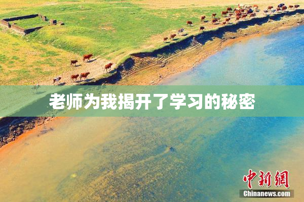 老师为我揭开了学习的秘密