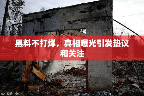 黑料不打烊，真相曝光引发热议和关注