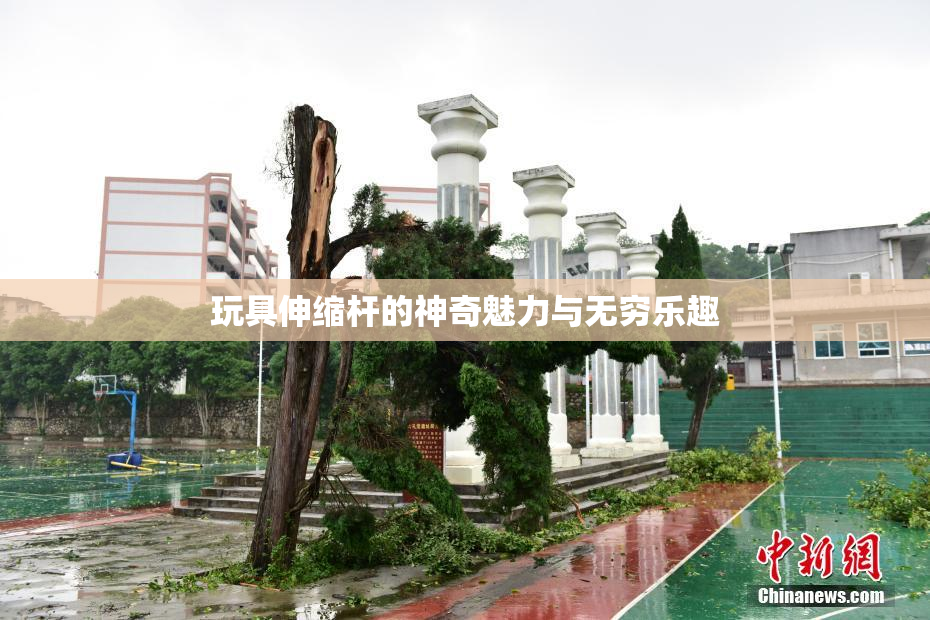 玩具伸缩杆的神奇魅力与无穷乐趣