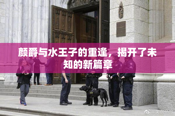 颜爵与水王子的重逢，揭开了未知的新篇章