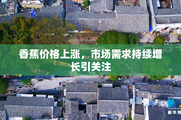 香蕉价格上涨，市场需求持续增长引关注