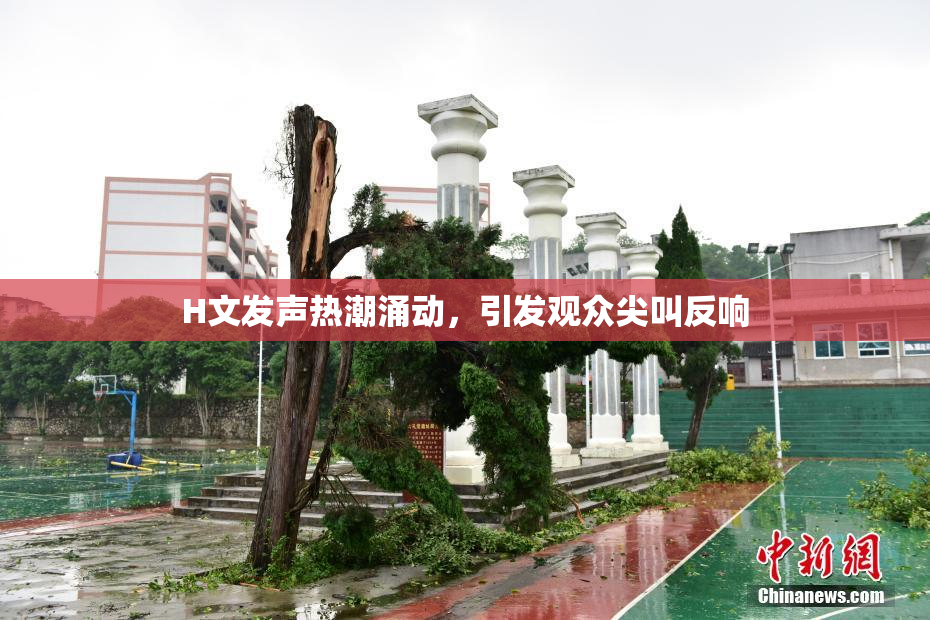 H文发声热潮涌动，引发观众尖叫反响