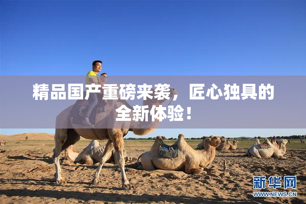 精品国产重磅来袭，匠心独具的全新体验！