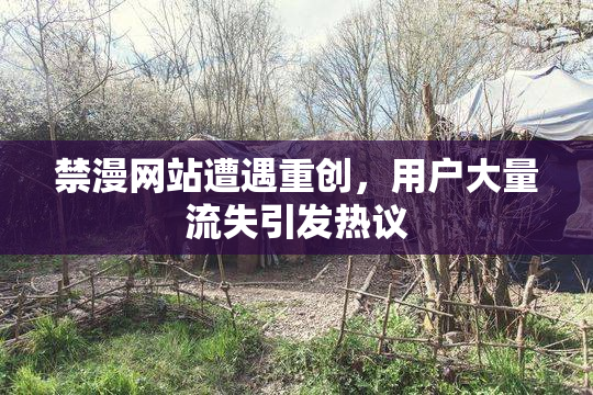 禁漫网站遭遇重创，用户大量流失引发热议