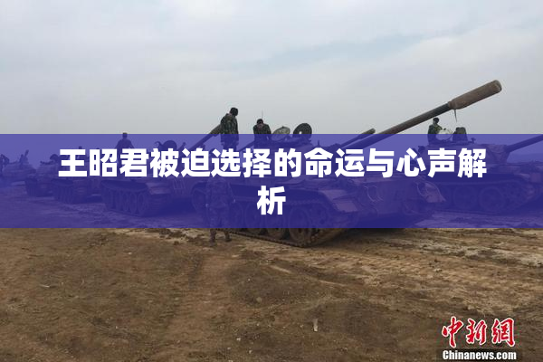 王昭君被迫选择的命运与心声解析