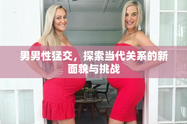 男男性猛交，探索当代关系的新面貌与挑战