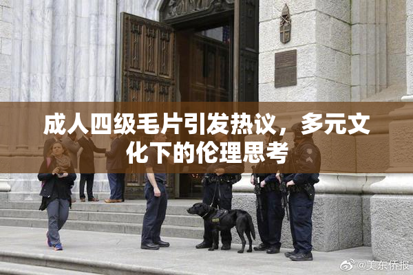 成人四级毛片引发热议，多元文化下的伦理思考