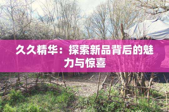久久精华：探索新品背后的魅力与惊喜