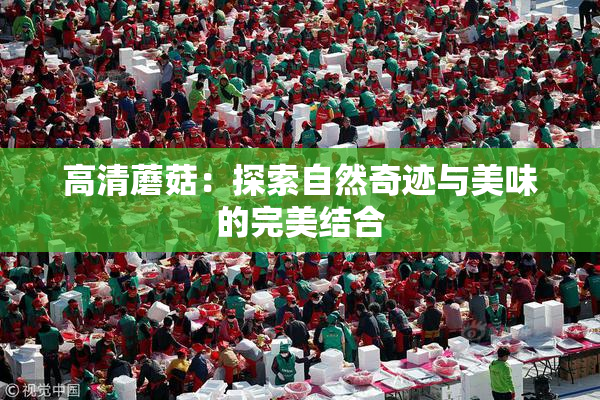 高清蘑菇：探索自然奇迹与美味的完美结合