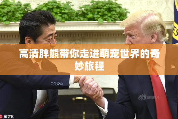 高清胖熊带你走进萌宠世界的奇妙旅程
