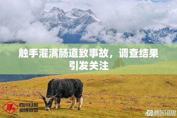 触手灌满肠道致事故，调查结果引发关注