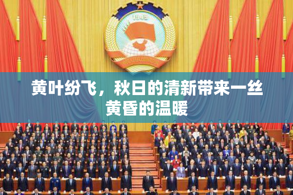 黄叶纷飞，秋日的清新带来一丝黄昏的温暖