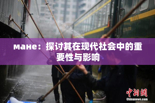 мане：探讨其在现代社会中的重要性与影响