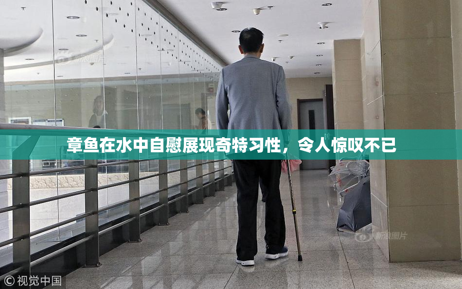 章鱼在水中自慰展现奇特习性，令人惊叹不已