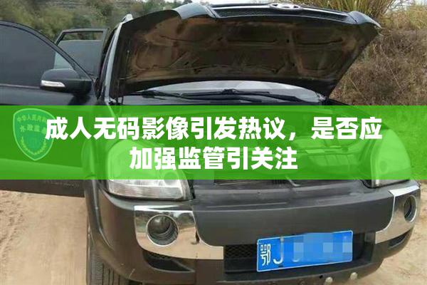 成人无码影像引发热议，是否应加强监管引关注