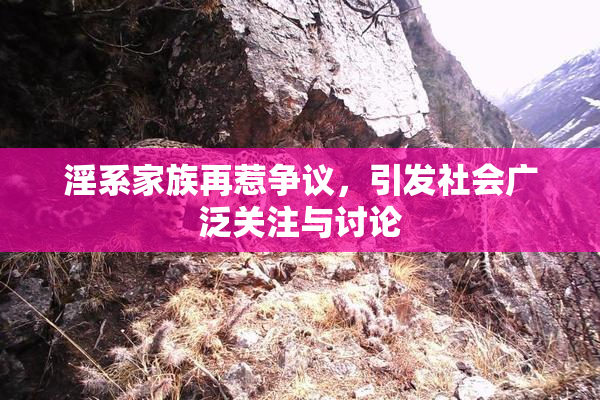 淫系家族再惹争议，引发社会广泛关注与讨论