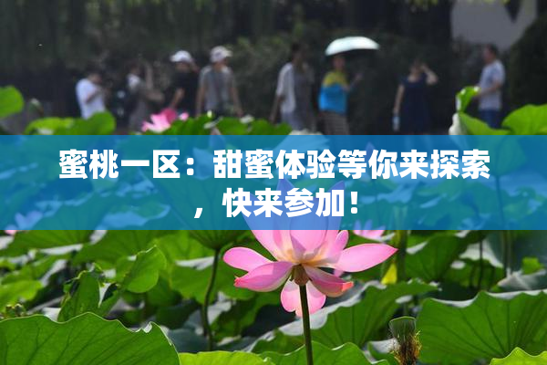 蜜桃一区：甜蜜体验等你来探索，快来参加！