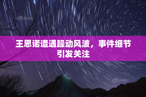 王思诺遭遇躁动风波，事件细节引发关注