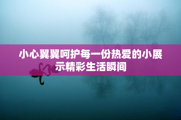 小心翼翼呵护每一份热爱的小展示精彩生活瞬间