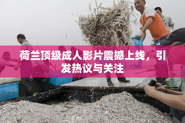 荷兰顶级成人影片震撼上线，引发热议与关注
