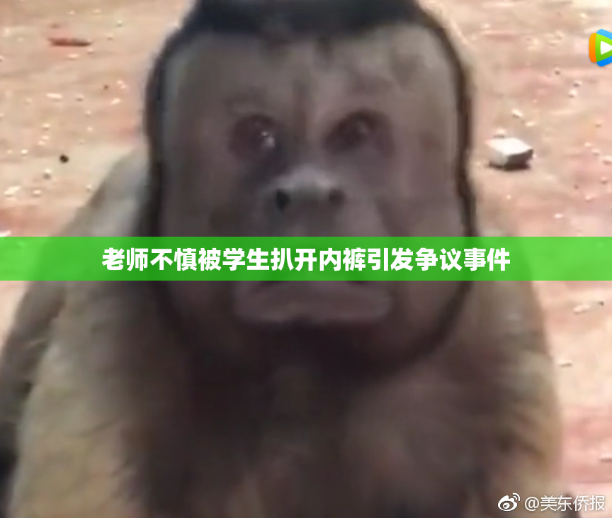 老师不慎被学生扒开内裤引发争议事件
