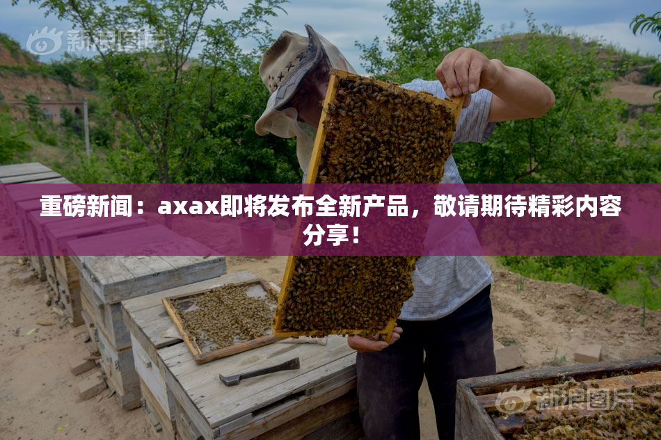 重磅新闻：axax即将发布全新产品，敬请期待精彩内容分享！