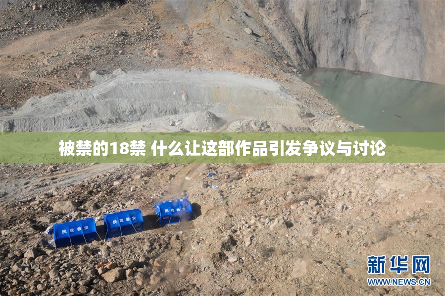被禁的18禁 什么让这部作品引发争议与讨论