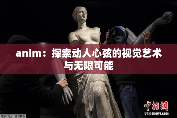 anim：探索动人心弦的视觉艺术与无限可能