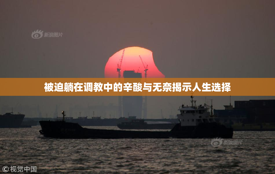 被迫躺在调教中的辛酸与无奈揭示人生选择