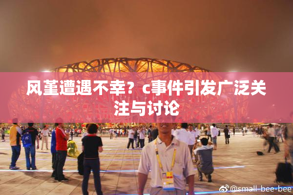 风堇遭遇不幸？c事件引发广泛关注与讨论