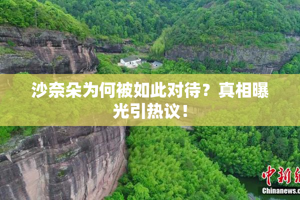 沙奈朵为何被如此对待？真相曝光引热议！