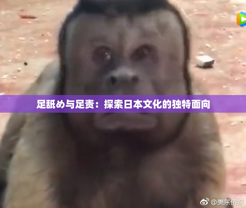 足舐め与足责：探索日本文化的独特面向