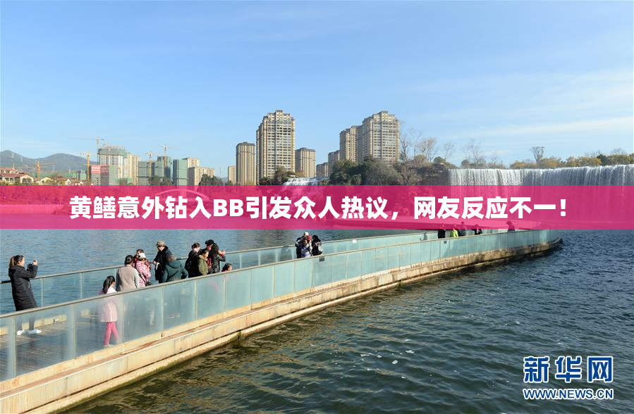 黄鳝意外钻入BB引发众人热议，网友反应不一！