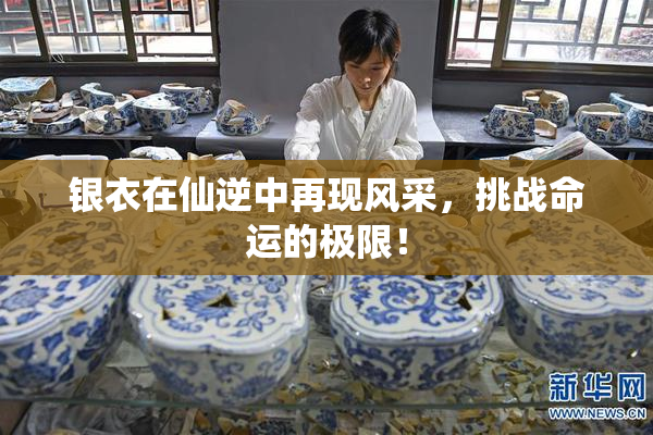 银衣在仙逆中再现风采，挑战命运的极限！
