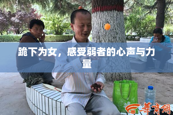 跪下为女，感受弱者的心声与力量