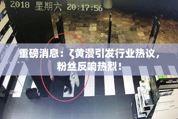 重磅消息：ζ黄漫引发行业热议，粉丝反响热烈！