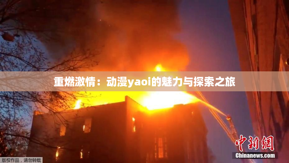 重燃激情：动漫yaoi的魅力与探索之旅