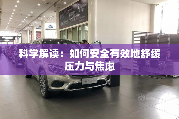 科学解读：如何安全有效地舒缓压力与焦虑