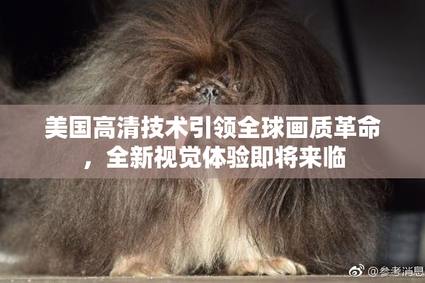 美国高清技术引领全球画质革命，全新视觉体验即将来临