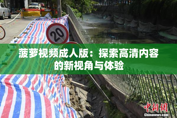 菠萝视频成人版：探索高清内容的新视角与体验