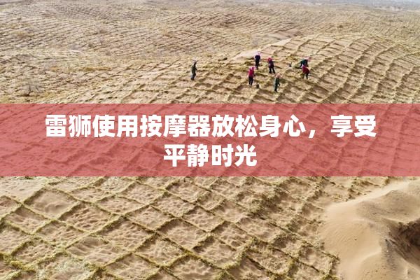 雷狮使用按摩器放松身心，享受平静时光