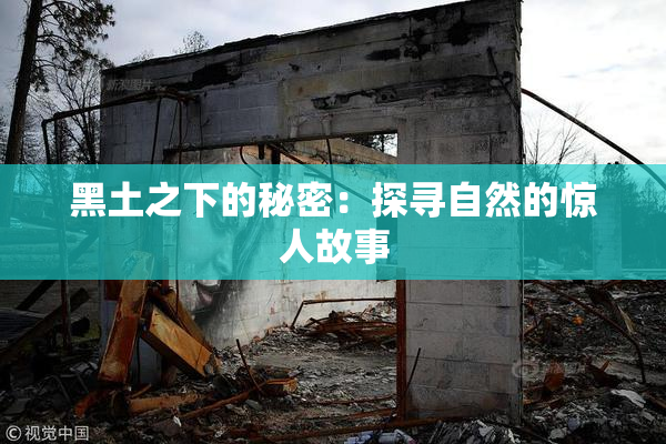黑土之下的秘密：探寻自然的惊人故事