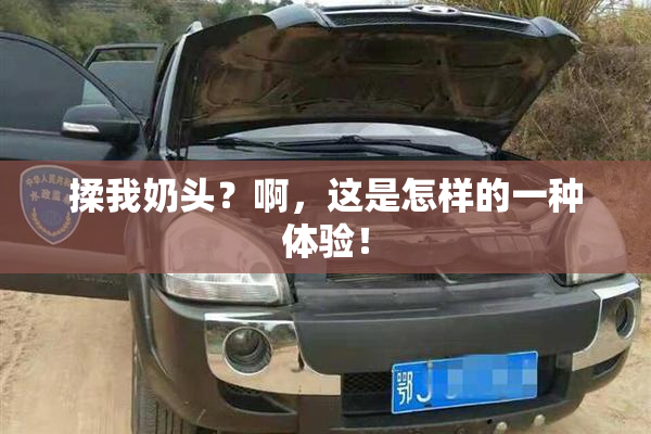 揉我奶头？啊，这是怎样的一种体验！