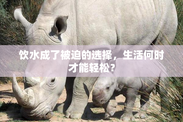 饮水成了被迫的选择，生活何时才能轻松？